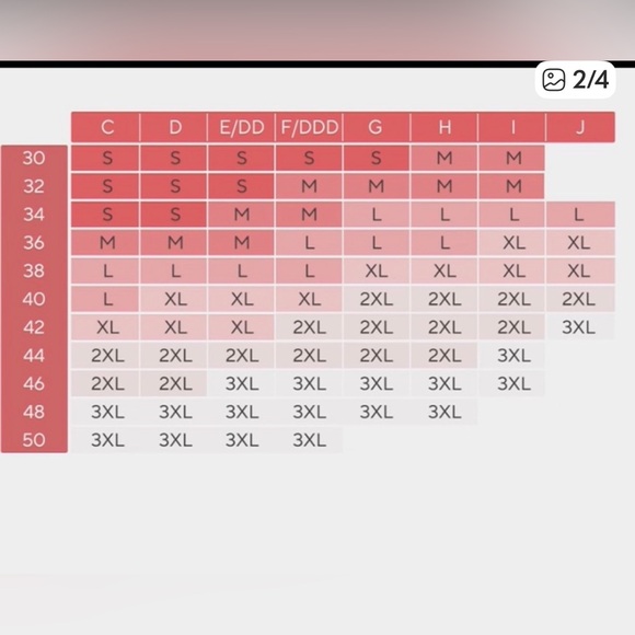 Evelyn & Bobbie The Beyond Bra Size Large - Picture 6 of 6